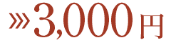 3,000円